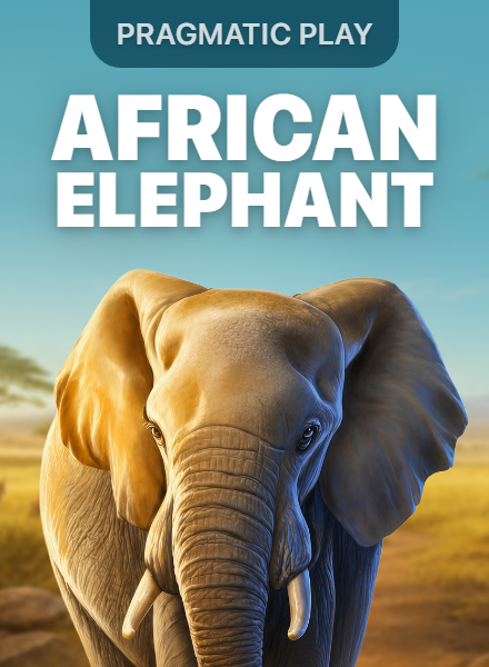 African Elephant™